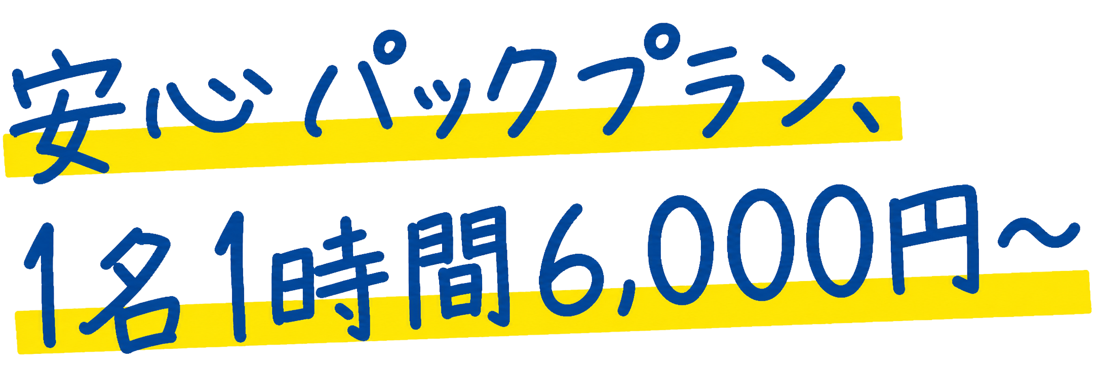 安心パック、1名1時間4,000円～